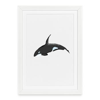 Tirage de bandes dessinées Orca Night Sky - Affiche encadrée (27 × 37 cm) - blanc - Devant