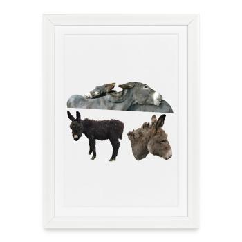 Donkey - Framed poster (27 × 37 cm) - white - Front