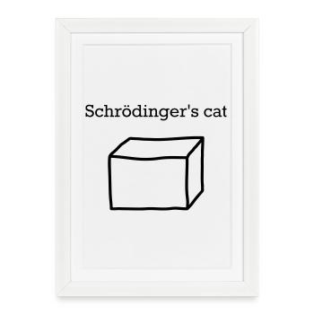 Le chat de Schrödinger – Drôle de nerd de physique quantique - Affiche encadrée (27 × 37 cm) - blanc - Devant