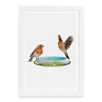 Potions d’oiseaux avec deux rouges-gorges hilares - Affiche encadrée (27 × 37 cm) - blanc - Devant
