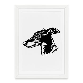 Tête de lévrier - Affiche encadrée (27 × 37 cm) - blanc - Devant