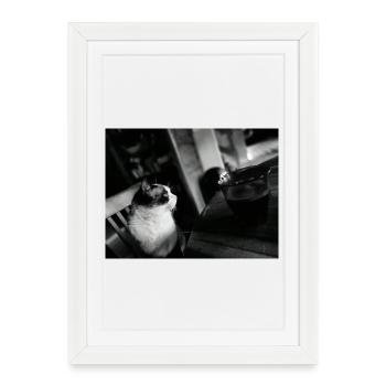 Chat noir et tasse au café - Affiche encadrée (27 × 37 cm) - blanc - Devant
