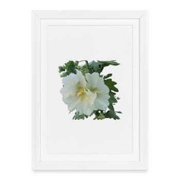 Hollyhock - Framed poster (27 × 37 cm) - white - Front