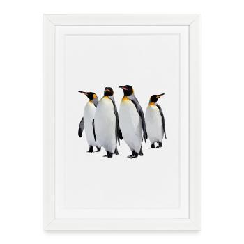 Pingouins - Affiche encadrée (27 × 37 cm) - blanc - Devant
