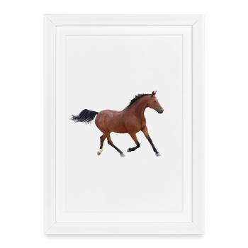Cheval - Affiche encadrée (27 × 37 cm) - blanc - Devant