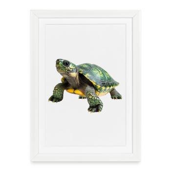Illustration détaillée de tortue sur les vêtements - Affiche encadrée (27 × 37 cm) - blanc - Devant