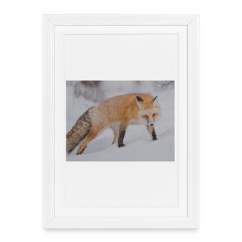 Snow Fox Pixel Art - Framed poster (27 × 37 cm) - white - Front