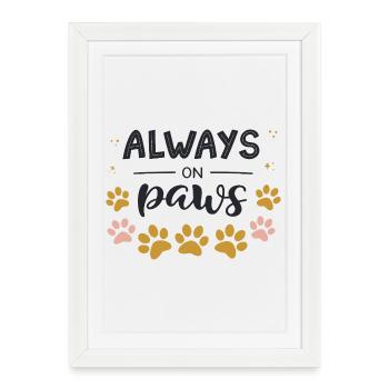Toujours sur les pattes - Affiche encadrée (27 × 37 cm) - blanc - Devant