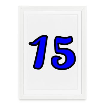 15. 15 ANS. 15e ANNIVERSAIRE. ANNIVERSAIRE 15 ANS. - Affiche encadrée (27 × 37 cm) - blanc - Devant