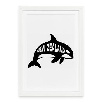Nouvelle-Zélande Orque épaulard - Affiche encadrée (27 × 37 cm) - blanc - Devant
