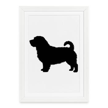 Norfolk Terrier silhouette - Framed poster (27 × 37 cm) - white - Front