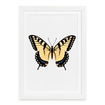 Ailes de papillon noir jaune - Affiche encadrée (27 × 37 cm) - blanc - Devant