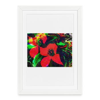 Fleurs rouge fluo dans un tourbillon de couleurs - Affiche encadrée (27 × 37 cm) - blanc - Devant