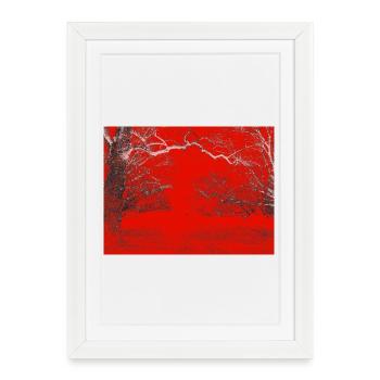 Red Forest Edge Contrast - Framed poster (27 × 37 cm) - white - Front