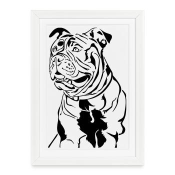 Vieux bouledogue anglais - Affiche encadrée (27 × 37 cm) - blanc - Devant