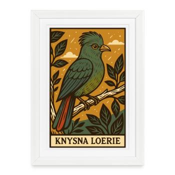 Knysna Loerie Illustration - Affiche encadrée (27 × 37 cm) - blanc - Devant
