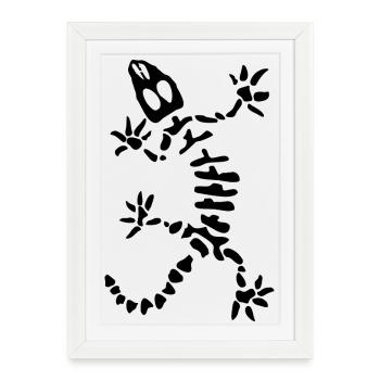 Squelette de gecko : lézard, reptile et os - Affiche encadrée (27 × 37 cm) - blanc - Devant