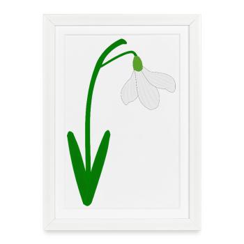 Perce-neige Mois de naissance de janvier Fleur Anniversaire - Affiche encadrée (27 × 37 cm) - blanc - Devant