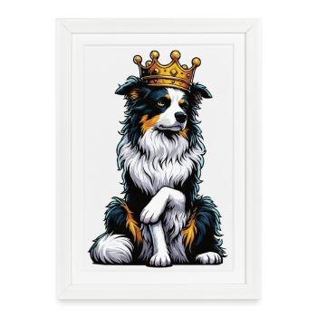 Berger australien Aussie Aussie Propriétaires Aussies - Affiche encadrée (27 × 37 cm) - blanc - Devant