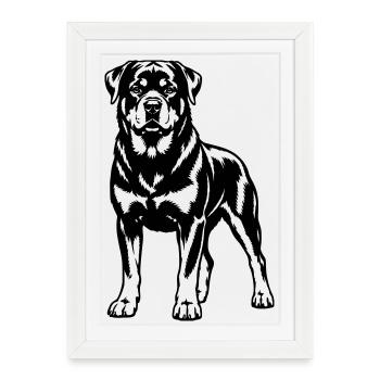 rottweiler - Affiche encadrée (27 × 37 cm) - blanc - Devant