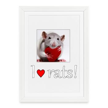 Rat with a heart - Framed poster (27 × 37 cm) - white - Front