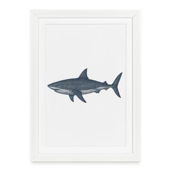 Deep Sea Shark Illustration - Framed poster (27 × 37 cm) - white - Front
