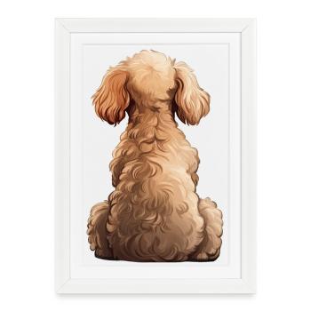 Caniche - Affiche encadrée (27 × 37 cm) - blanc - Devant