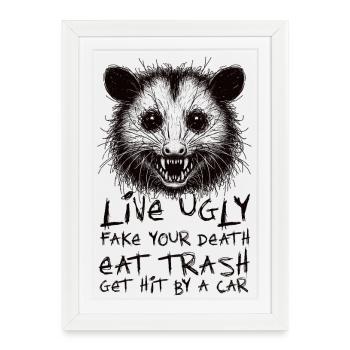 OPOSSUM, VIVRE MOCHE FAUX TA MORT MANGER DES ORDURES - Affiche encadrée (27 × 37 cm) - blanc - Devant
