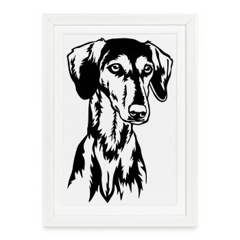 Tête Saluki - Affiche encadrée (27 × 37 cm) - blanc - Devant