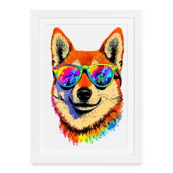 Chien Shiba Inu Race de chiens japonais Shibas du Japon - Affiche encadrée (27 × 37 cm) - blanc - Devant