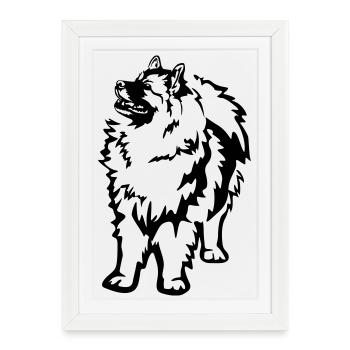 Keeshond - Affiche encadrée (27 × 37 cm) - blanc - Devant