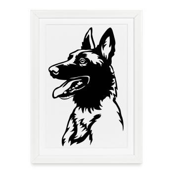 Malinoi's head - Framed poster (27 × 37 cm) - white - Front