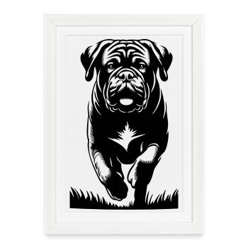 Dogue de Bordeaux - Affiche encadrée (27 × 37 cm) - blanc - Devant