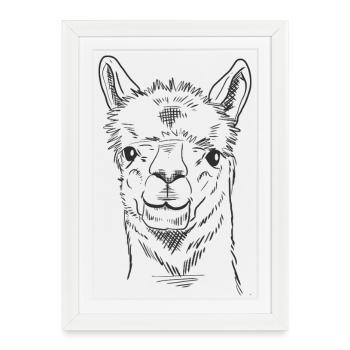 Lama drôle Croquis Art Minimaliste Line Art Lama - Affiche encadrée (27 × 37 cm) - blanc - Devant