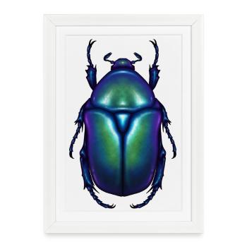 Scarabée fleur bleue - Affiche encadrée (27 × 37 cm) - blanc - Devant