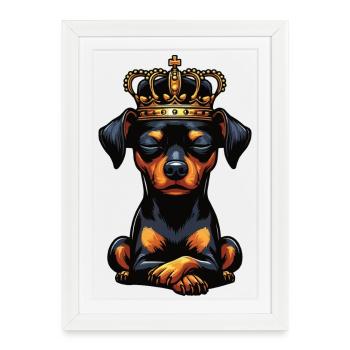Pinscher miniature Pinscher Pinscher Pinscher Propriétaire Minpin - Affiche encadrée (27 × 37 cm) - blanc - Devant