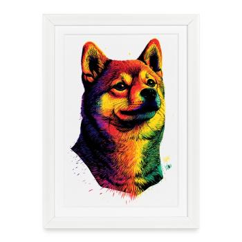 Chien Shiba Inu Race de chiens japonais Shibas du Japon - Affiche encadrée (27 × 37 cm) - blanc - Devant