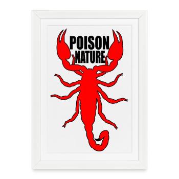 Red Scorpion on Black Background - Framed poster (27 × 37 cm) - white - Front