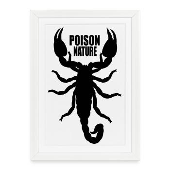 Scorpion - Affiche encadrée (27 × 37 cm) - blanc - Devant