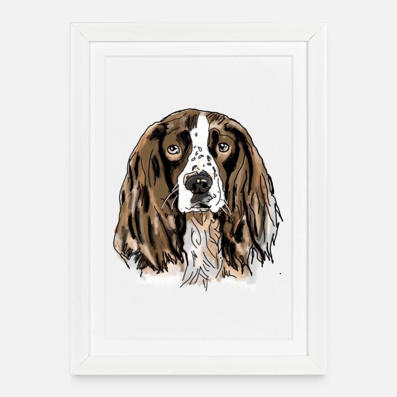 Épagneul - Affiche encadrée (27 × 37 cm) - blanc