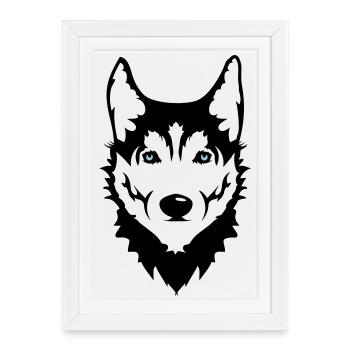 A la tête d'un chien Husky sibérien - Affiche encadrée (27 × 37 cm) - blanc - Devant