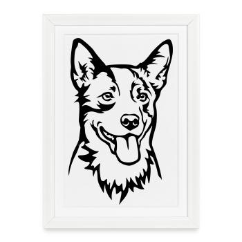 Tête de chien de bétail australien - Affiche encadrée (27 × 37 cm) - blanc - Devant