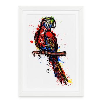 Perroquet, Oiseau, Animal De Compagnie, Amoureux Des Animaux, Animal, Jungle - Affiche encadrée (27 × 37 cm) - blanc - Devant