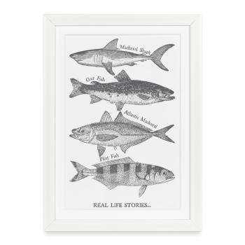 Silhouettes de poissons réels - Affiche encadrée (27 × 37 cm) - blanc - Devant