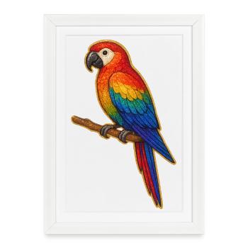 Patchwork de perroquet coloré - Affiche encadrée (27 × 37 cm) - blanc - Devant
