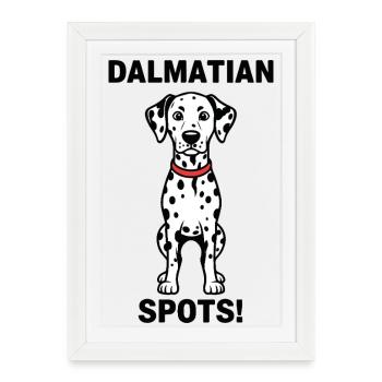 Chien Dalmatien Spots Dalmatian Canin Collier - Affiche encadrée (27 × 37 cm) - blanc - Devant