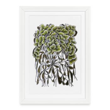 Feuilles en éventail avec racines pendantes - Affiche encadrée (27 × 37 cm) - blanc - Devant