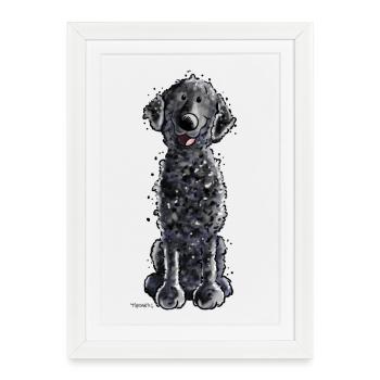 Sweet Curly Coated Retriever - Dog - Gift - Framed poster (27 × 37 cm) - white - Front