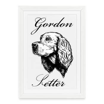 Gordon Setter Portrait - Affiche encadrée (27 × 37 cm) - blanc - Devant