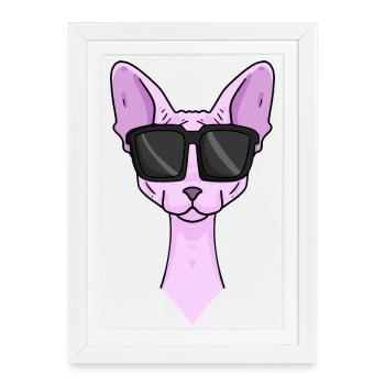 Chat Sphynx avec lunettes de soleil - Affiche encadrée (27 × 37 cm) - blanc - Devant
